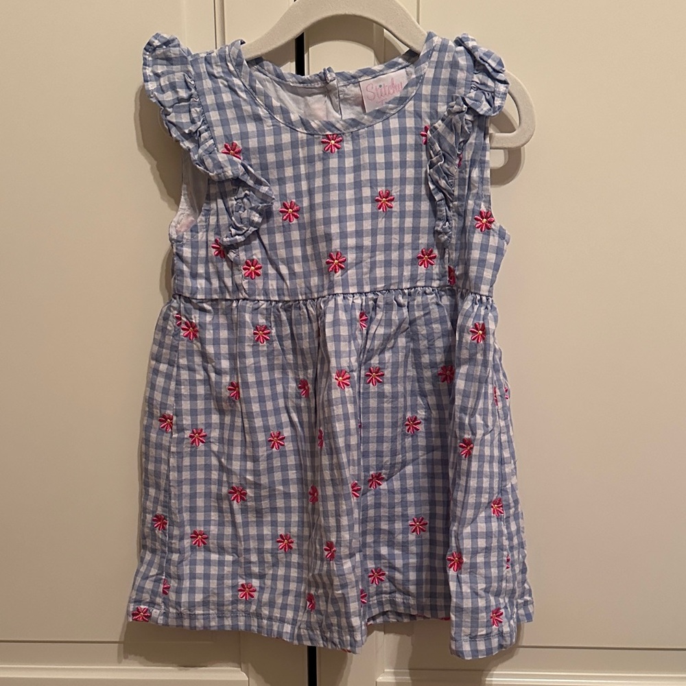 Stitchy Fish Blue Gingham Dress with pink Floral Embroidery